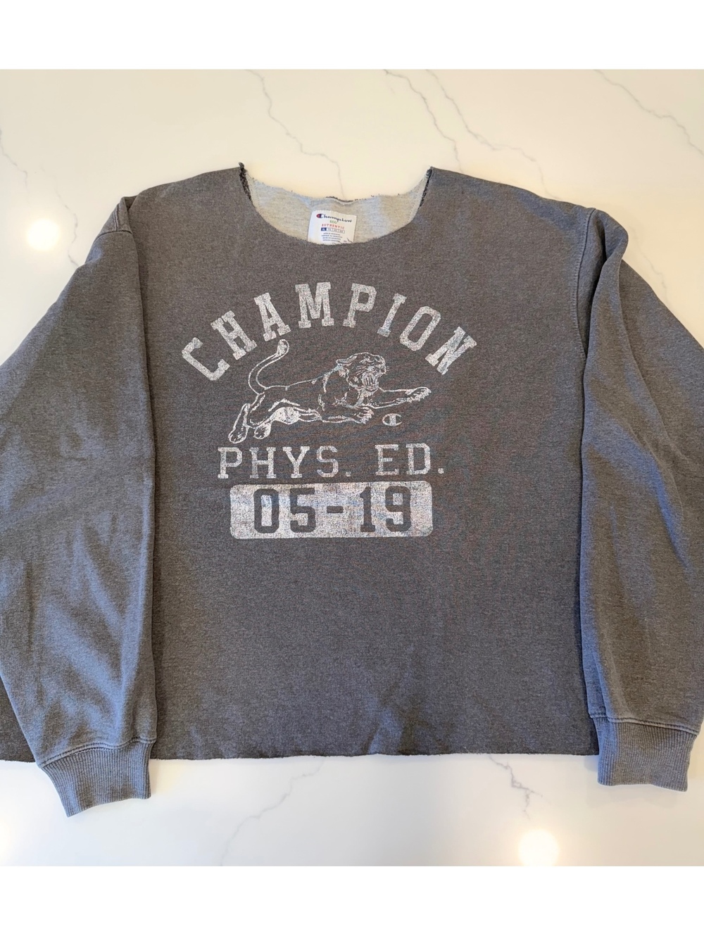 Champion Vintage Retro Gym Workout Sweatshirt Gray Size XL